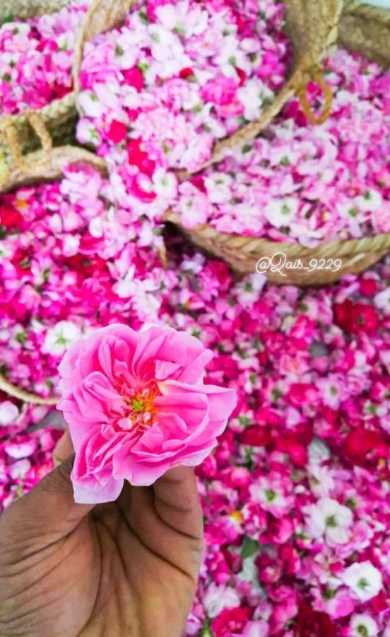 הוילה Jabal al Akhdhar Roses House Oman מראה חיצוני תמונה