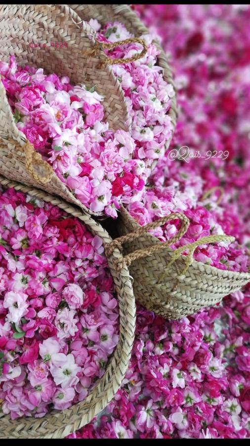 הוילה Jabal al Akhdhar Roses House Oman מראה חיצוני תמונה